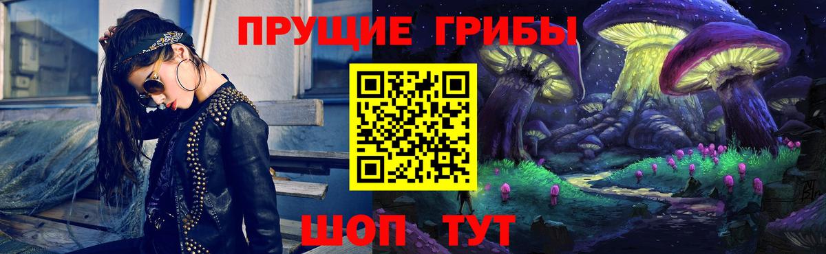 Галлюциногенные грибы Psilocybe  Вход с VPN  Галлюциногенные грибы прущие грибы  Шумерля 